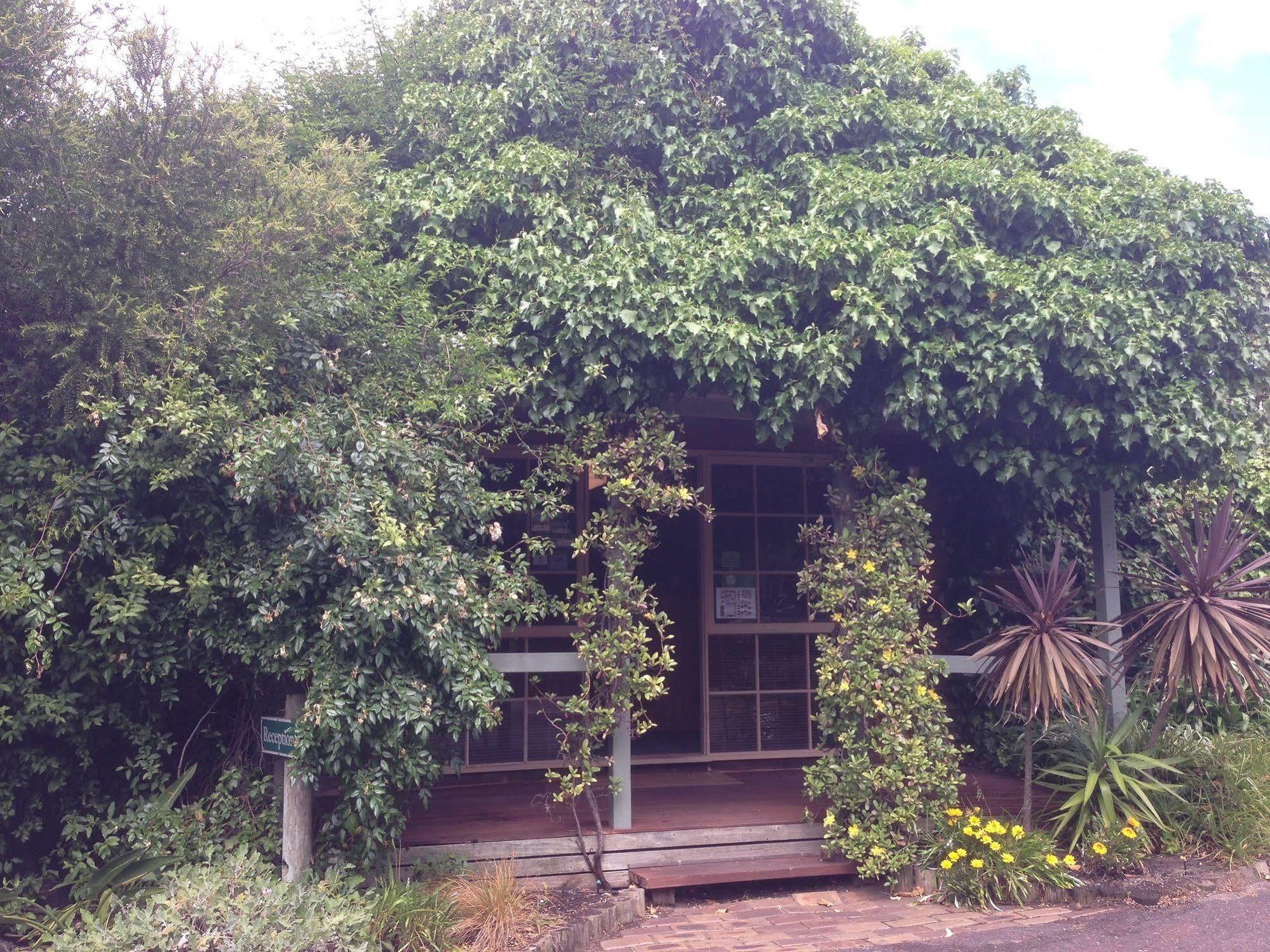 Ti-Tree Village Ocean Grove Eksteriør bilde